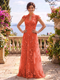 Cap Sleeves Stand Collar Tulle Long Mother of the Bride/Groom Dresses