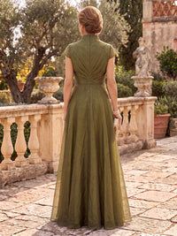 Organza Stand Collar Cap Sleeves Floor Length A Line Mother of the Bride/Groom Dresses