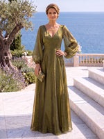 Organza Mother of the Bride/Groom Dresses V Neck Long Sleeves Floor Length A Line