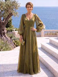 Organza Mother of the Bride/Groom Dresses V Neck Long Sleeves Floor Length A Line