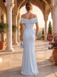 Off the Shoulder Sheath/Mermaid Lace Floor Length Evening Dresses