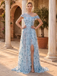 Jacquard A Line Sparkly Tulle Floor Length Evening Dresses