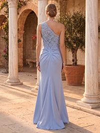 One Shoulder Mermaid Floor Length Lace Applique Evening Dresses